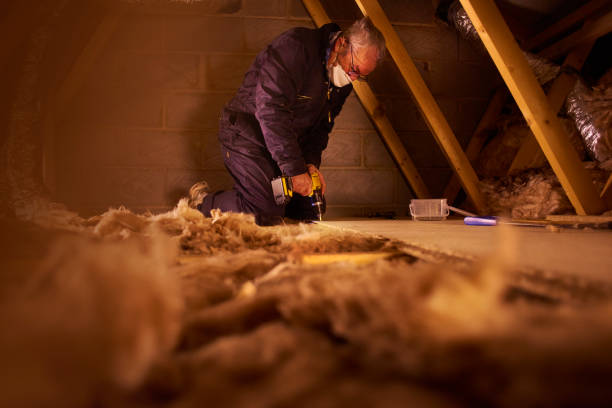 Best Residential Insulation in Cadillac, MI